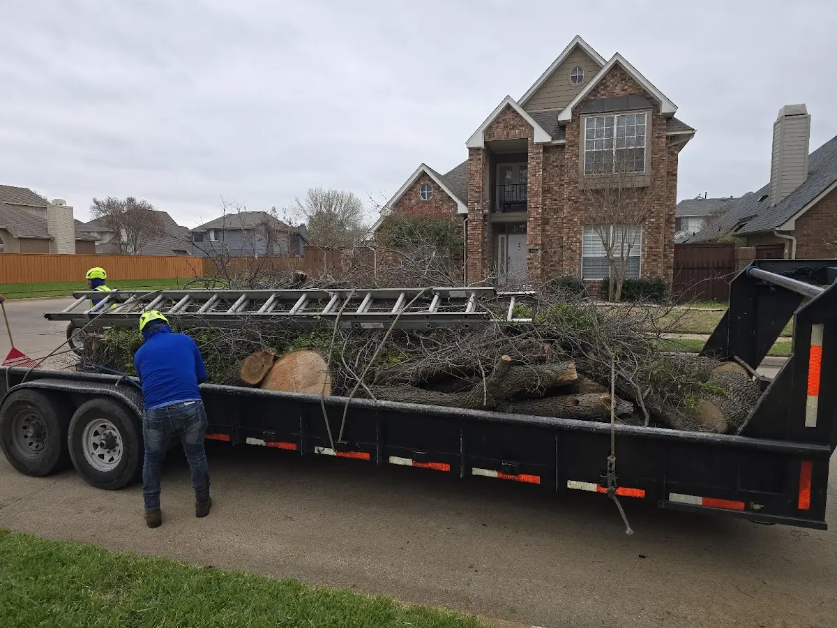 Expert Tree Fertilization with proper safety equipment in Lu Verne